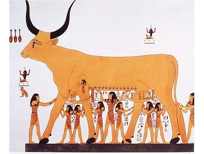 фото Богиня Нут в образі корови